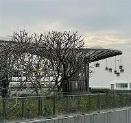 C7娱乐app下载-洛杉磯銳航客場取勝，提振球隊信心(洛杉矶航空)